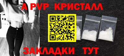 крисы Гатчина