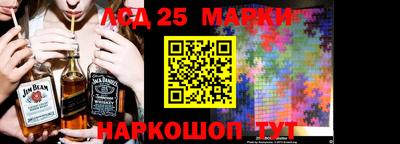 крисы Гатчина
