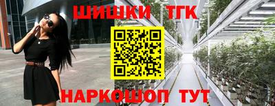 крисы Гатчина