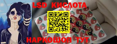 крисы Гатчина