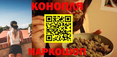 крисы Гатчина