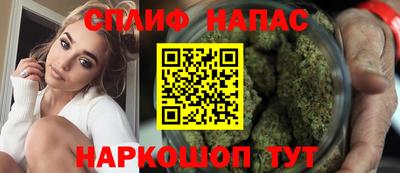 крисы Гатчина