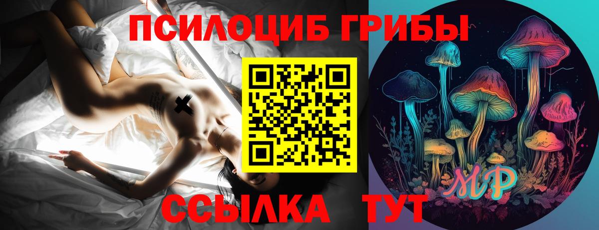 Галлюциногенные грибы мицелий Нижний Тагил
