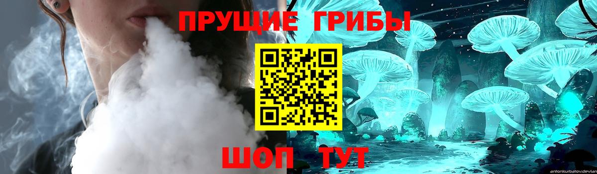 Галлюциногенные грибы Cubensis  Вход с VPN  Нижний Тагил 